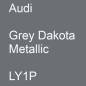 Preview: Audi, Grey Dakota Metallic, LY1P.